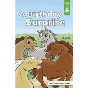 A Birthday Surprise - (Stairway Decodables Step 6) by Leanna Koch - 1 of 1