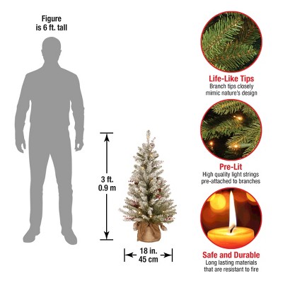 Dunhill Fir 3' Tabletop Christmas Tree with Warm White LED Lights