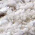 ivory, black, peach, light gray, medium gray, medium brown