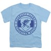 Boys' Harry Potter Ravenclaw House Badge T-Shirt - 2 of 4