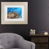 Trademark Fine Art - Barathieu Gabriel  Maji Islet Reef Matted Framed Art - image 2 of 4