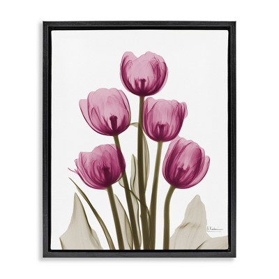 Stupell Industries Pink X-Ray Tulips, 17" x 21"
