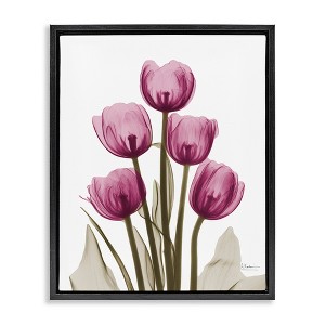 Stupell Industries Pink X-Ray Tulips, 17" x 21" - 1 of 4