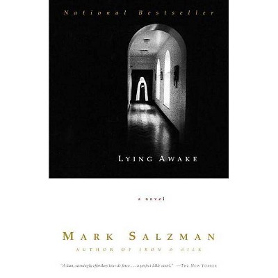 Lying Awake - (Vintage Contemporaries) by  Mark Salzman (Paperback)