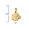 Black Bow Jewelry 14k Yellow Gold Plated Sterling Silver Chicago Blackhawks NHL Small Pendant - 2 of 3