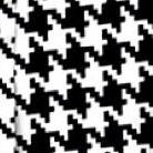white houndstooth