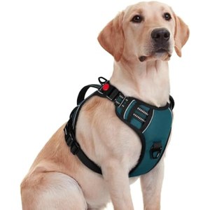 rabbitgoo Dog Harness for Large Dogs, , , Easy Walking Harness with 2 Leash Clips, Green, M - 1 of 1