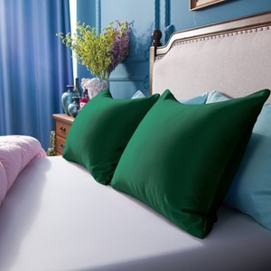 2 Pack Satin Pillowcases, Skin-Friendly Luxury Pillow Cases with Hidden Zipper - NTBAY - 1 of 4