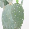 42 Inch Artificial Cactus Plant, Faux Desert Cacti Potted Plant with Fruit, Realistic Fake Cacti Saguaro for Home Garden Office Indoor Outdoor Decor - 4 of 4