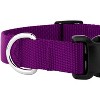 Country Brook Petz Deluxe Nylon Dog Collar and Leash - 4 of 4