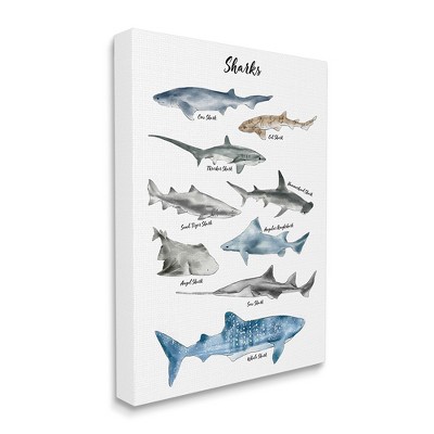 Stupell Industries Nautical Shark Chart Watercolor Marine Animals