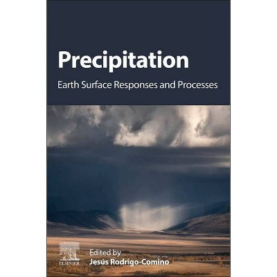 Precipitation - by  Jesus Rodrigo Comino (Paperback)