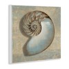 Stupell Industries Shell Beach Objects Design, 12" x 12" - 3 of 4
