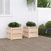 vidaXL Garden Planters - Decorative Outdoor Herb Plant Pots 2 Pcs - Solid Pine Wood - 19.7" Square Planters for Gardens, Balconies or Patios - 2 of 4