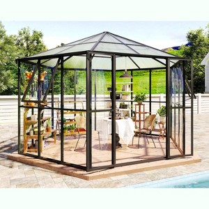 AMERLIFE 12x10x8 FT Walk-in Hexagonal Greenhouse with Aluminum Frame, 2 Vents, Dual Doors, Black - 1 of 4