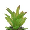 Unique Bargains Artificial Plants Mini Pulp Plastic 3.54"x3.54"x5.12" 1 Pc - 4 of 4