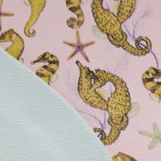 pink seahorse