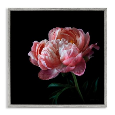 Stupell Industries Dark Rose Photography, 24" x 24"