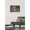 Trends International The Comedy Wildlife Photography Awards: John Blumenkamp - Monday Blahs Framed Wall Poster Prints - 2 of 4