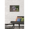 Trends International The Comedy Wildlife Photography Awards: John Blumenkamp - Monday Blahs Framed Wall Poster Prints - image 2 of 4