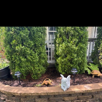 Guest review image 1 of 2, zoom in
