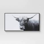 47" x 24" Highland Cow Framed Canvas - Threshold™