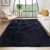 Fluffy Area Rug- Shag Area Rug for Living Room, Shaggy Large Indoor Thick Living Room Carpet with Non-Slip Backing, Soft Plush Carpet - 2 of 4