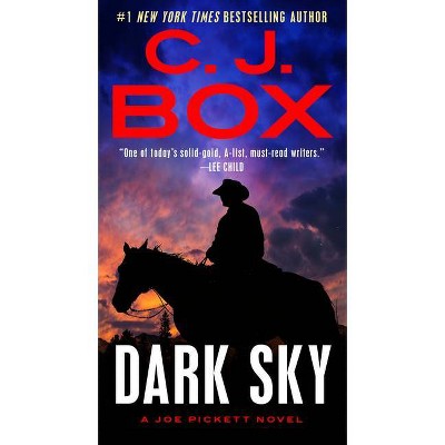 Dark Sky (A Joe Pickett Novel)