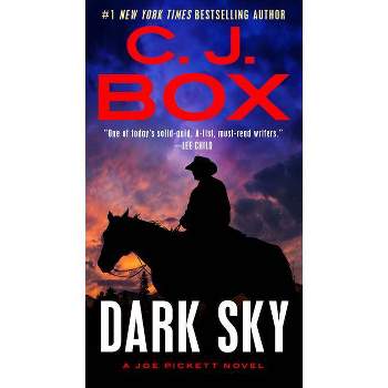 Dark Sky - (Joe Pickett Novel) by  C J Box (Paperback)