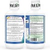 Vital Earth Liquid Joint Support Supplement – Glucosamine, Chondroitin, MSM plus Hyaluronic Acid, Boswellia & Fulvic Acid, 32 Oz + 1 Oz Cup - 2 of 4