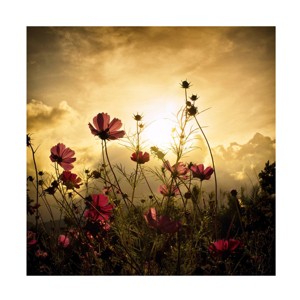 Trademark Fine Art -Christian Marcel 'Watching The Sun' Canvas Art - 1 of 4