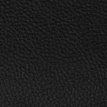 tampa bay buccaneers