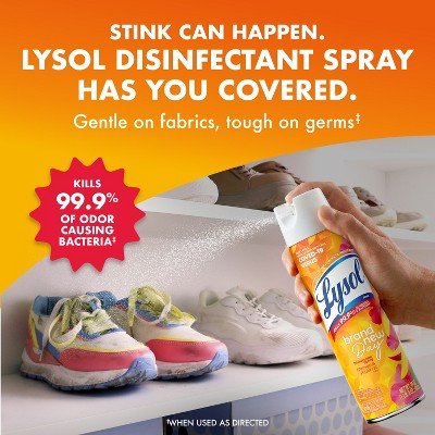 Lysol Brand New Day Mango & Hibiscus Disinfectant Spray - 19oz