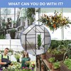 Greenhouse for Outdoors, Polycarbonate Greenhouse with Roof Vent, Aluminum Large Walk-in Green House for Outside Garden Backyard, Green/Black - 4 of 4