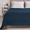 Bedgear Cooling Blanket Instant Cooling Fabric and Moisture Wicking Bedding - 2 of 4