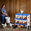 Chicken Nesting Box, 6 Compartment Galvanized Steel Chicken Laying Boxes, Easy Egg Collection for Chicken Coop, Backyard, Farms - 3 of 4