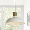 Capital Lighting Destin 1 - Light Pendant in  Dark Pewter - 2 of 4