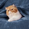 Bedsure | Flannel Blanket Solid 280GSM Soft Fuzzy Plush  Bed Blanket - 2 of 4