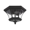 Livex Lighting Monterey/Georgetown 2 - Light Flush Mount in  Black - 3 of 4