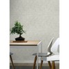 Brewster Peel and Stick 1pc Wallpaper Zen Garden Cream - image 4 of 4