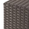 Puerta Wicker Side Table - Christopher Knight Home - 3 of 4