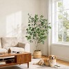 Ficus Trees Artificial Indoor,4/5/6FT Tall Faux Ficus Tree with Planter & Green Fake Moss,Artificial Plants with Natural Wood Trunk & Lifelike Fruits - 3 of 4