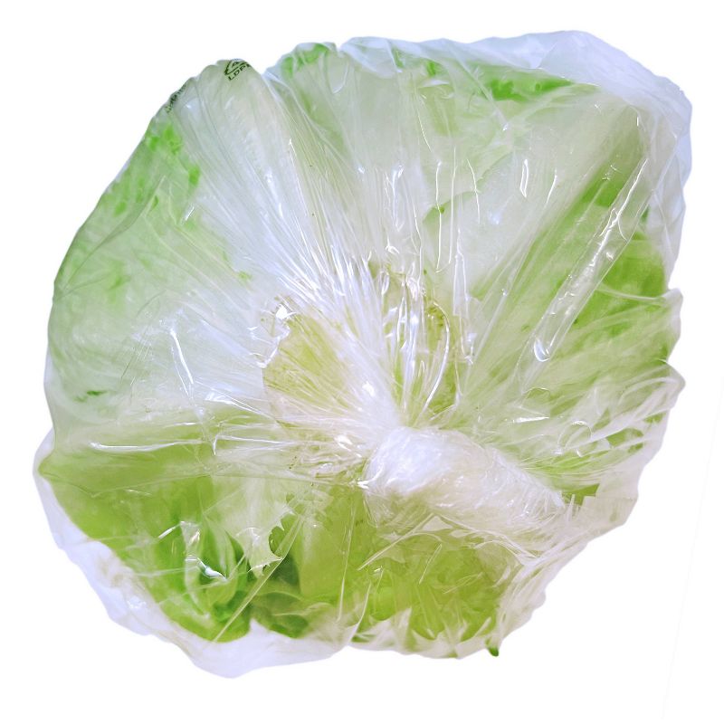 Organic Iceberg Lettuce - each, 2 of 4