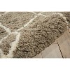 Nourison Galway Mocha/Iv Shag Area Rug GLW02 5' x 7' - 3 of 4