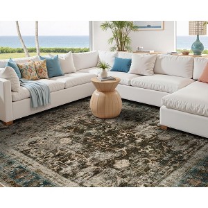 AMERLIFE Area Rug, Machine Washable Vintage Carpet with Non-Slip Backing, Soft Rug for Living Room, Bedroom, Hallway Use - 1 of 4