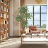 6 FT Ficus Tree Artificial with Tall White Planter, Fake Ficus Tree with 3 Natural Trunks & White-Edged Leaves, Tall Faux Floor Plant for Home Decor - 4 of 4