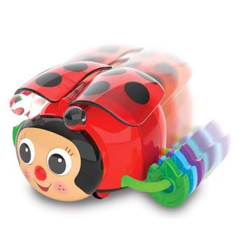 The Learning Journey Early Learning Crawl About Ladybug