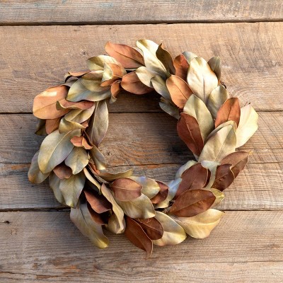 Park Hill Collection Dried-Look Magnolia Leaf Wreath