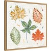 Amanti Art 22"x22" Harvest Whimsy V by Dina June Framed Canvas Wall Art Print - 2 of 4