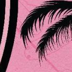 clear push pins bundle